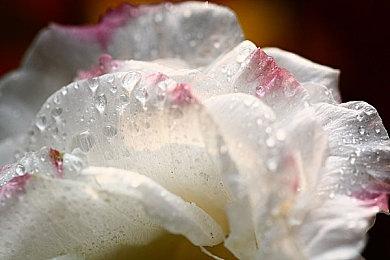 《海岛大亨6》次世代版明年3月登陆XS＆PS5